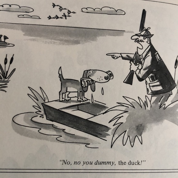 BEN The Adventures Of A Hunting Retriever By John Troy Hardcover Book 1984 VTG - Picture 10 of 10